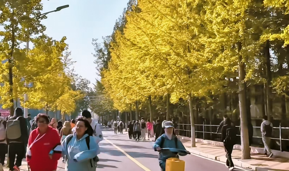 走！去大工校园里，捕捉秋天的小确幸~