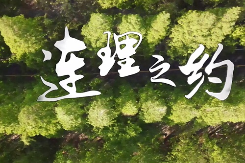 连理之约——献礼党的102岁生日