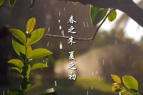 雨生百谷，沐一场人间春色，听一曲万物生长