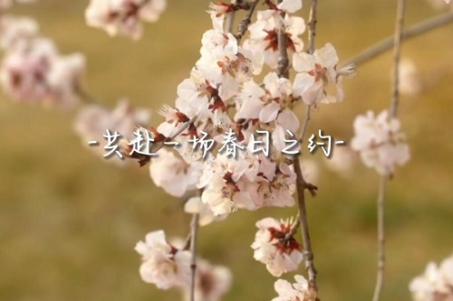 取景器里的大工春天