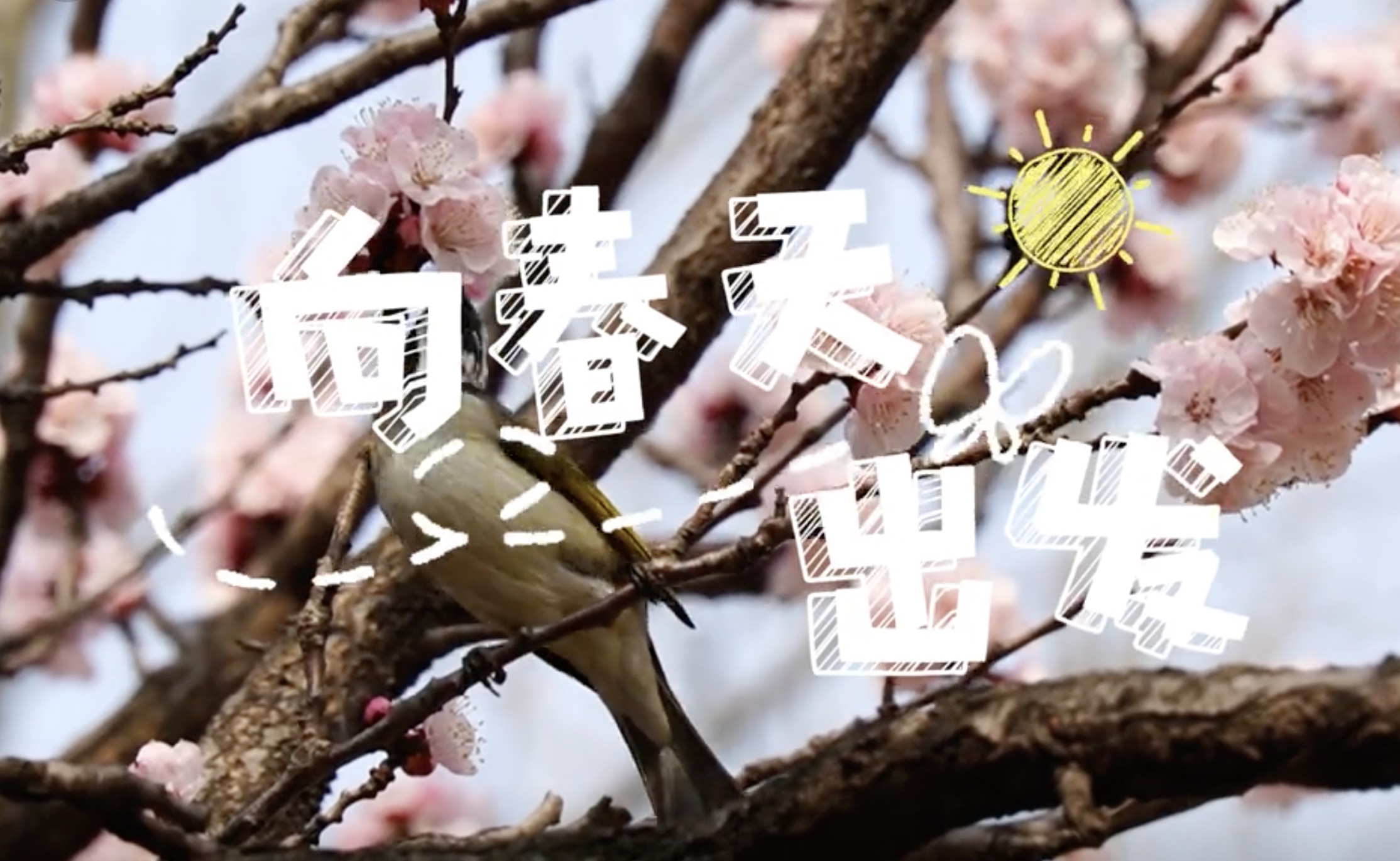 春和景明，万物复苏～DUTers，向着春天，出发！