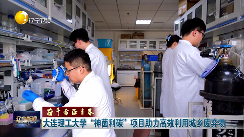 奋斗者正青春丨大连理工大学“神菌利碳”项目助力高效利用城乡废弃物