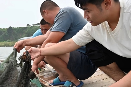 对症不下药！大工生物工程学院学生团队研发出海水无抗养殖新产品