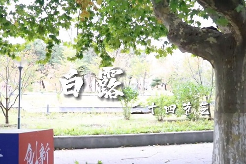 秋风何冽冽，白露为朝霜