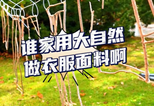 大工上新“秋衣”啦！DUTers以大自然为“面料”做成“衣服”，创意十足，一起来看