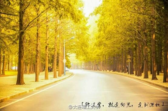 http://ww4.sinaimg.cn/mw690/b7c02209jw1f8zo9bvsuej20hs0budje.jpg