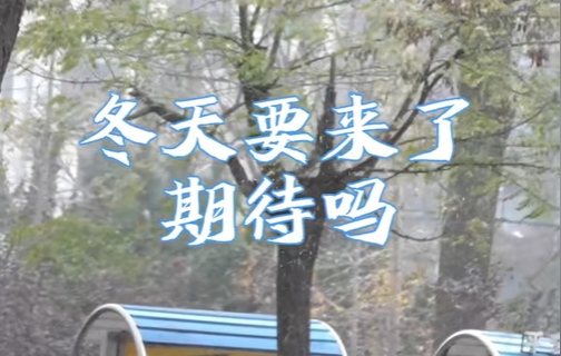 秋去冬来月如风，能否陪我过个冬