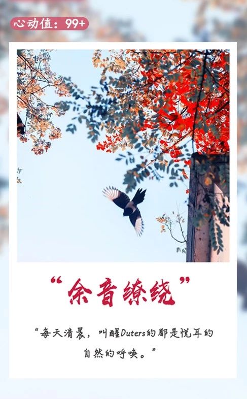 说明: C:\Users\HP\Documents\WeChat Files\rubysuisse\FileStorage\Temp\a807f6f7682d6928b0323d0d33a197d8