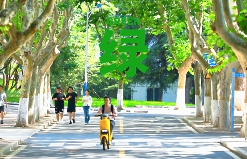 夏天的大工校园满眼都是绿意！道路两旁，硕大的梧桐树撑起一片天然的纳凉地（