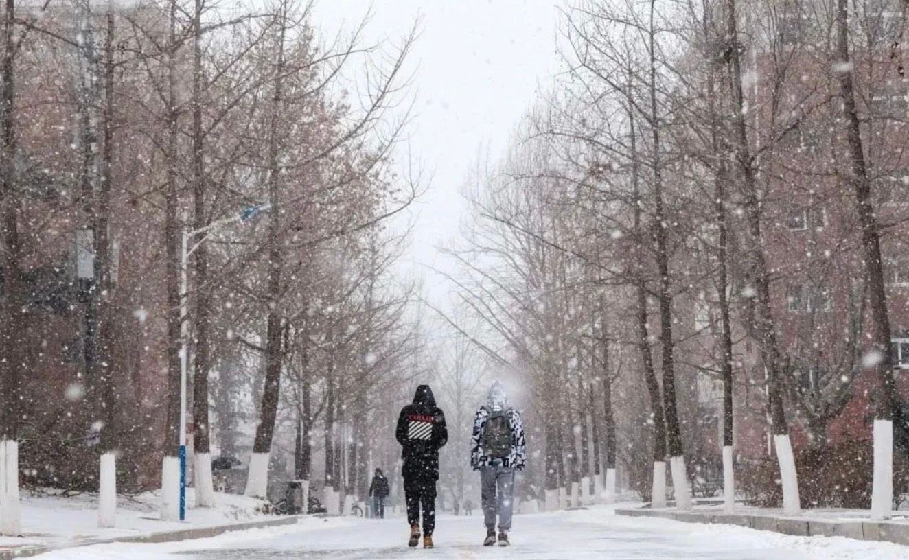 “白雪纷纷何所似，未若柳絮因风起”，今天的雪是什么形状的呢？