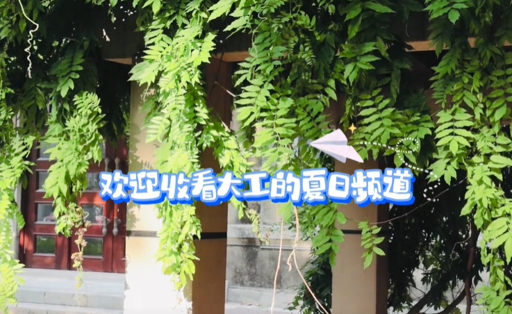 今日处暑，在八月的大工，从校园的角落里抓住夏天的尾巴～