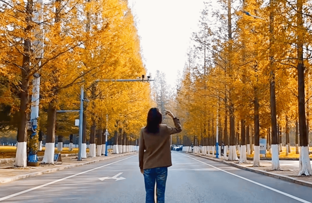 一键入秋！叶子虽未黄，降温已到位。大工的秋日大片即将上演！期待的同时，DUTers请务必做好保暖