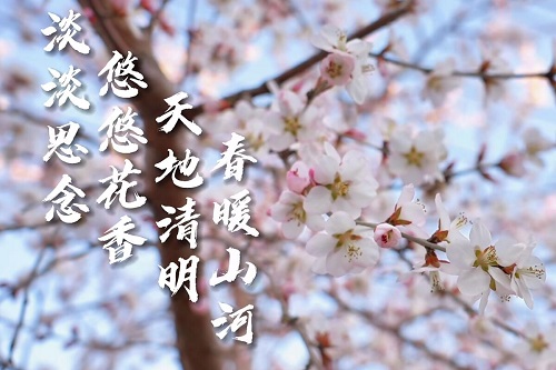 今日清明