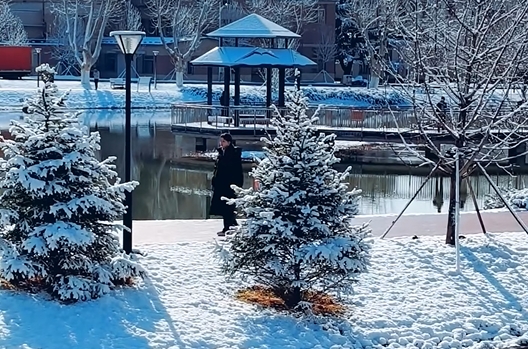 三月底的大工，鹅毛大雪与满树繁花撞了个满怀！