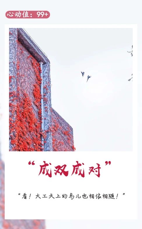 说明: C:\Users\HP\Documents\WeChat Files\rubysuisse\FileStorage\Temp\4afe85655bae678d7f50dbc5762da5b1
