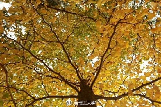 http://ww4.sinaimg.cn/mw690/b7c02209jw1f8zo9c07nej20hs0bu42z.jpg
