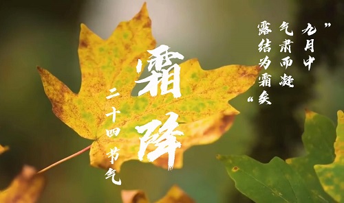 不觉间，已迈入秋季的最后一个节气。DUTers，请抓住2022的尾巴，踔厉奋发，加速奔跑~
