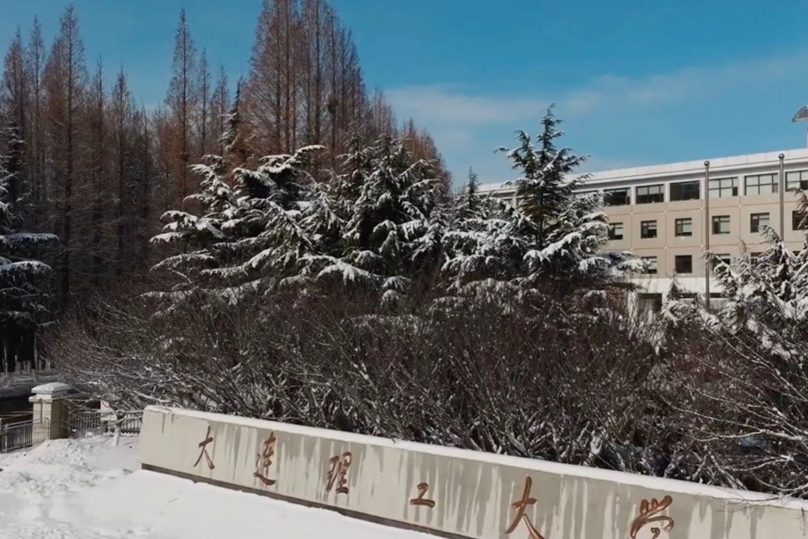 伴着夜幕降临，静下心来，沉浸在雪后洁白的大工校园中，迎接新的一周
