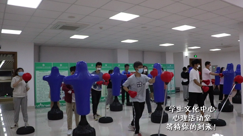 学校心理中心建设情绪宣泄室