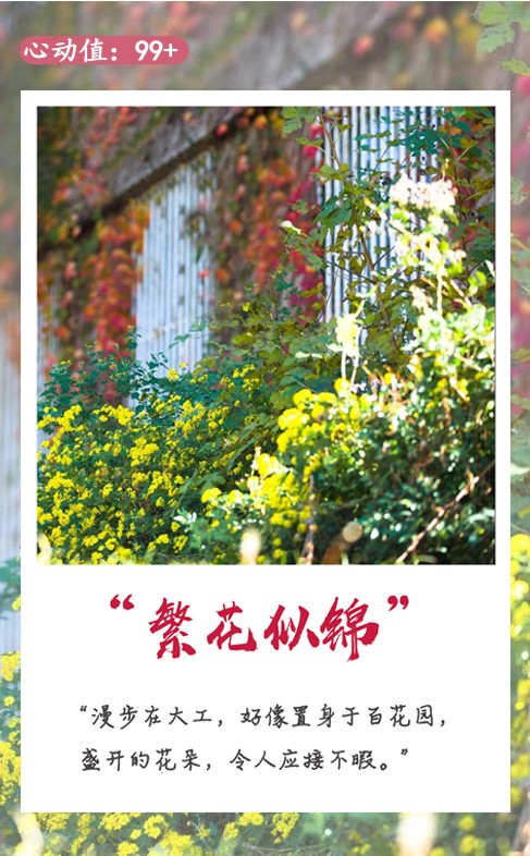 说明: C:\Users\HP\Documents\WeChat Files\rubysuisse\FileStorage\Temp\a4e2858b9e3b6180a9e451005f4937b6