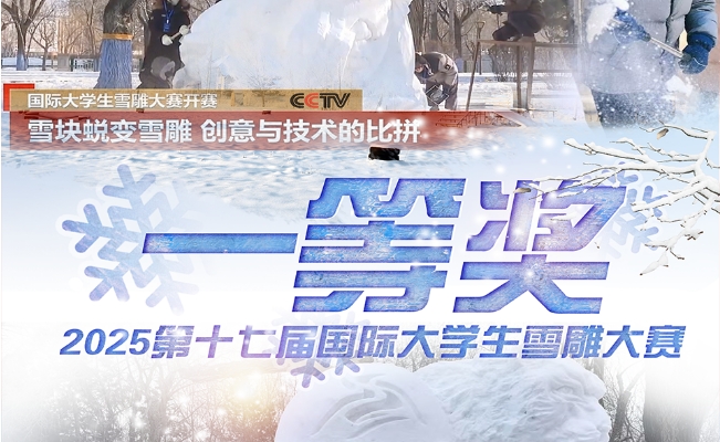 国际大赛一等奖，大工学子牛！